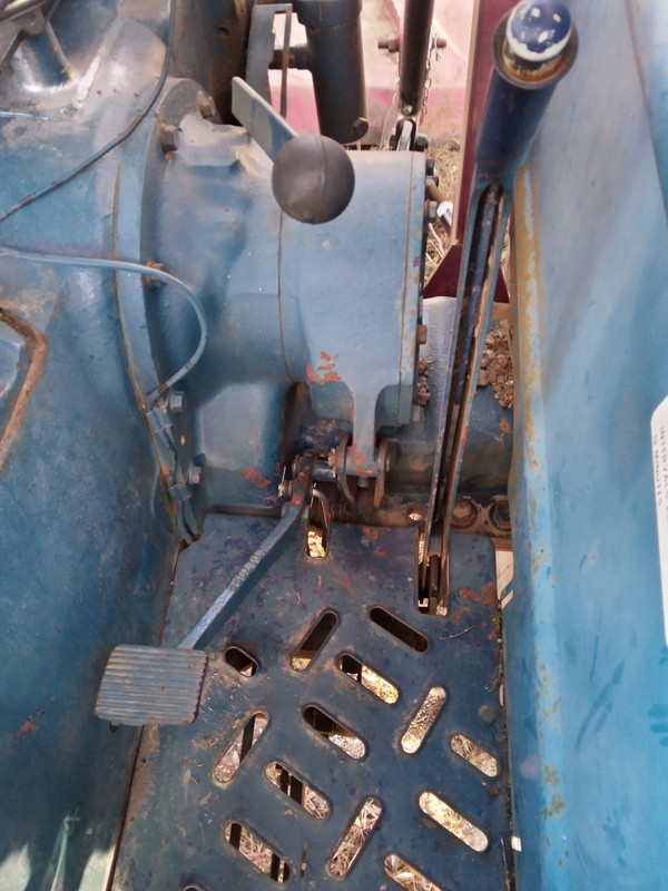 IMG_20211031_181509_3