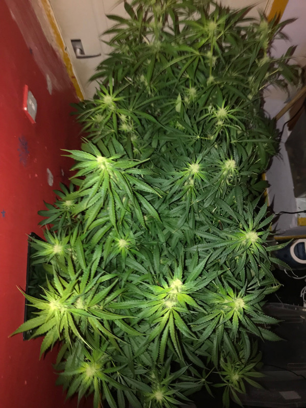 ECC7301A-E48E-4988-801C-3E4DD32A2EC7