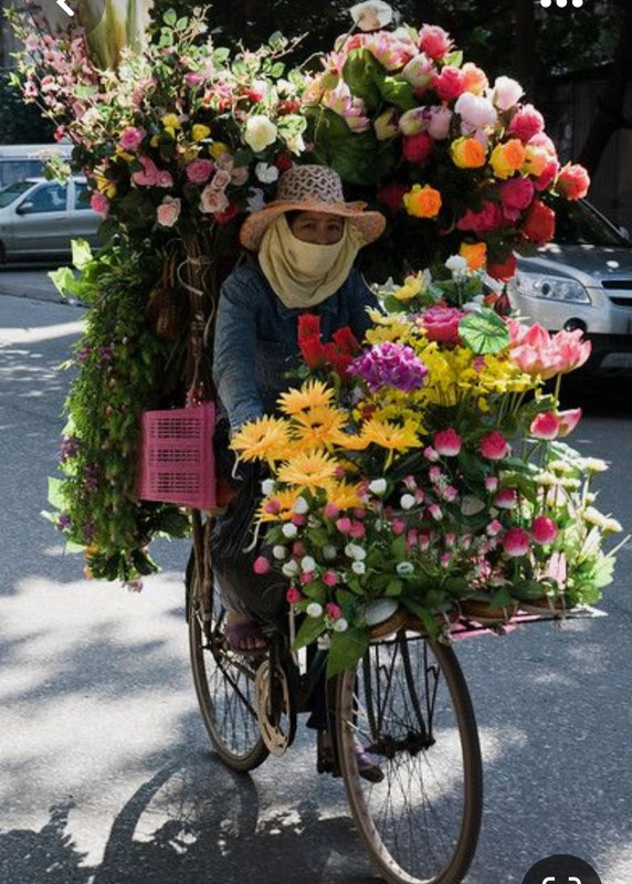 Screenshot_20230616_182015_Pinterest