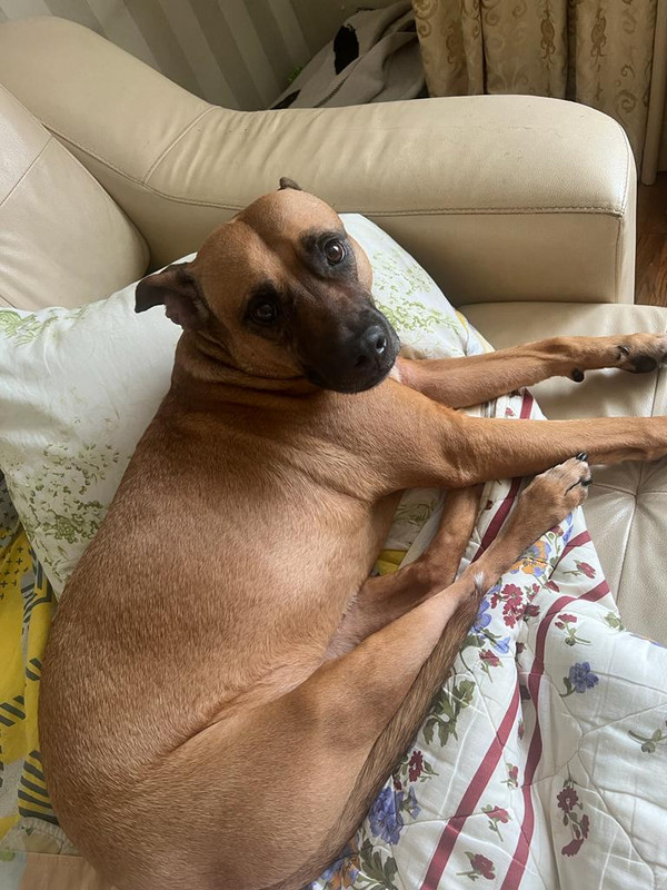 7DC614CE-4A35-4ED9-A164-392FE191A580