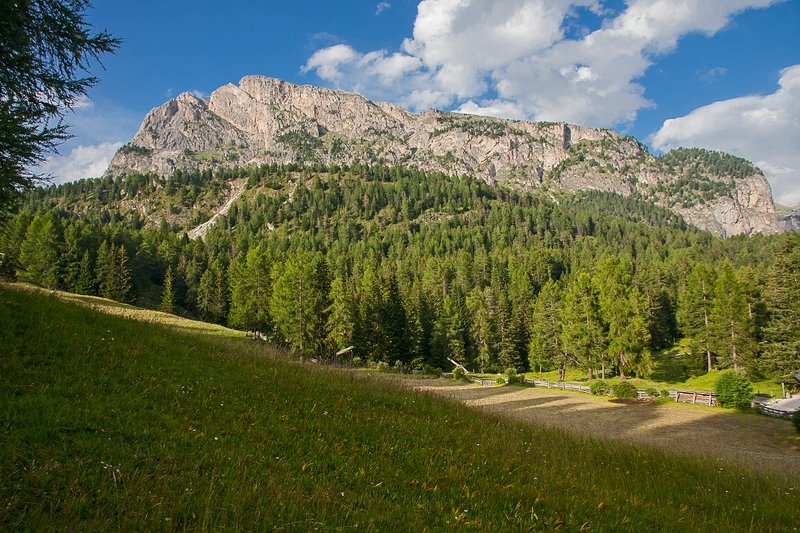 https://i.postimg.cc/GtWKRxr8/097-IMG-9755.jpg