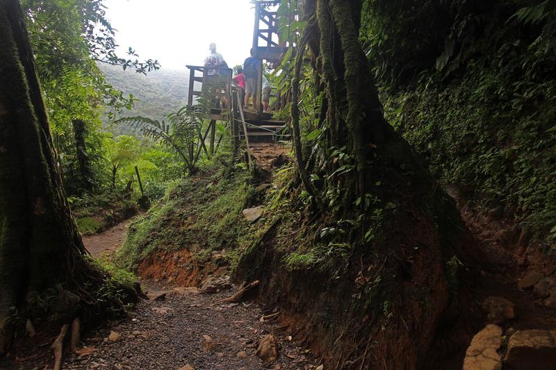 DIA 10: RIO CELESTE - DE TORTUGAS Y PEREZOSOS. COSTA RICA 2019 (19)