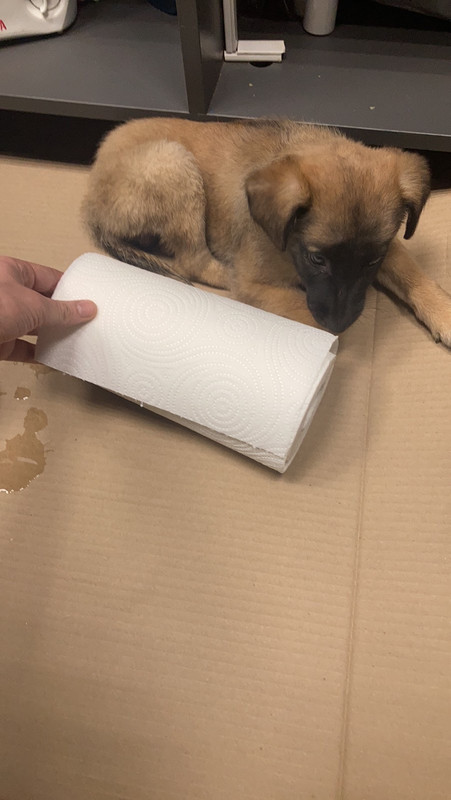 85ED9AD3-50C3-47DF-BFA2-0743230AC05E