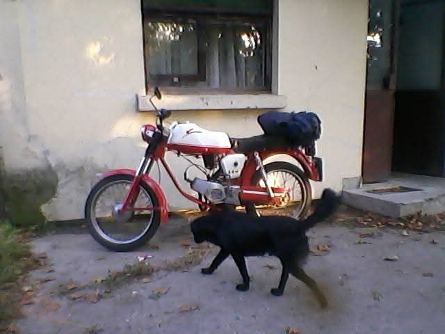 FB IMG 1777060286560