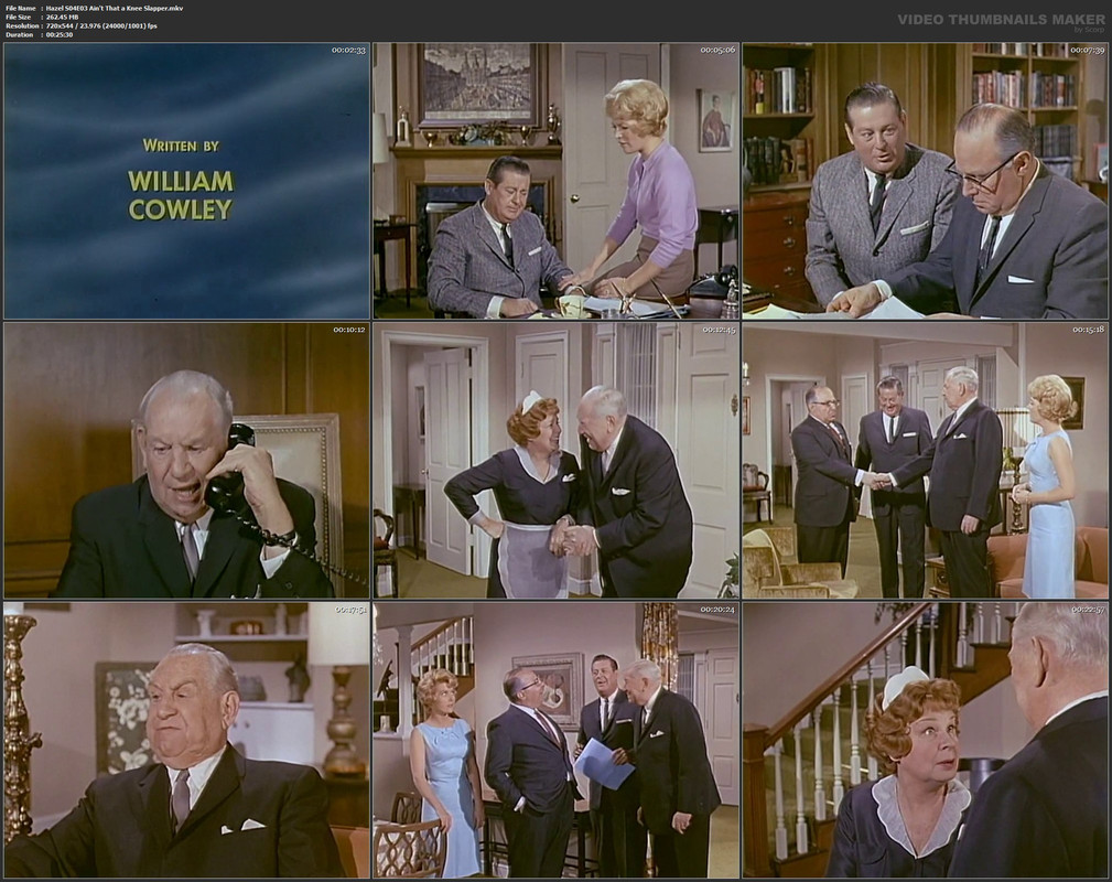 Hazel S04E03 Ain't That a Knee Slapper.mkv