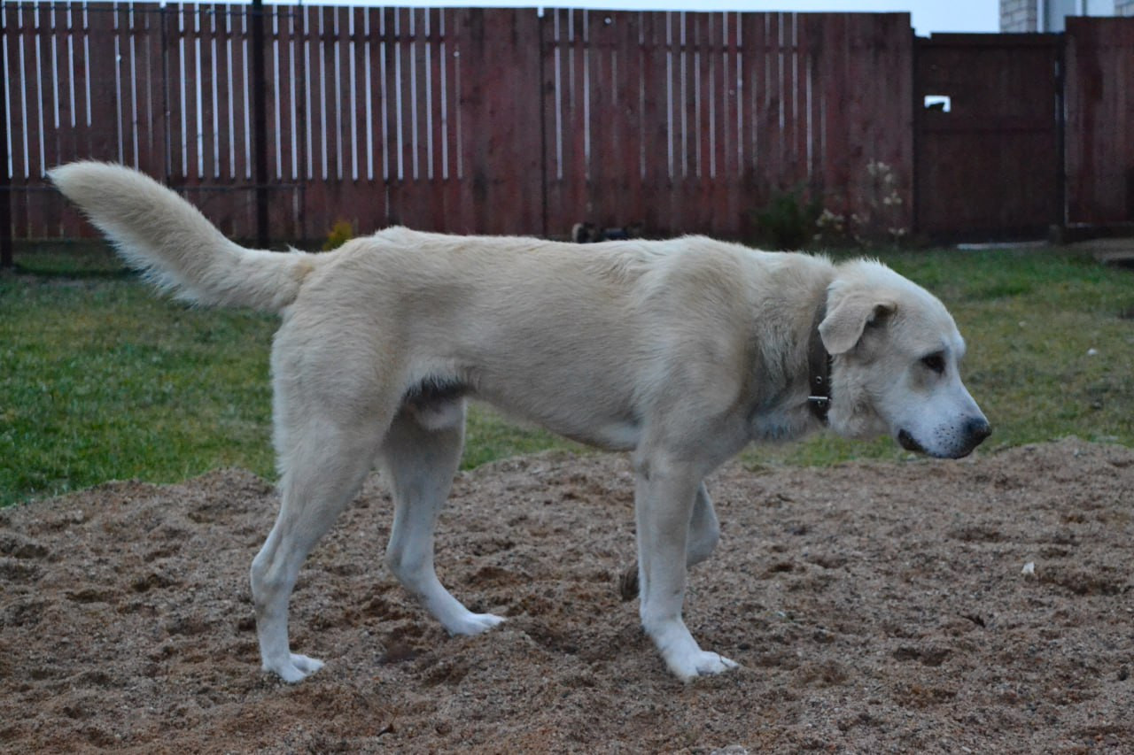 photo 2026 01 07 16 13 30