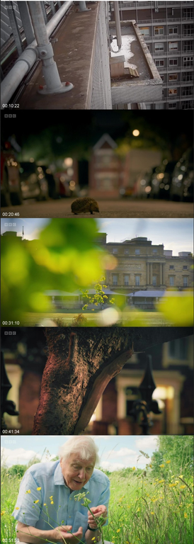 [Obrazek: screenshot-1.png]