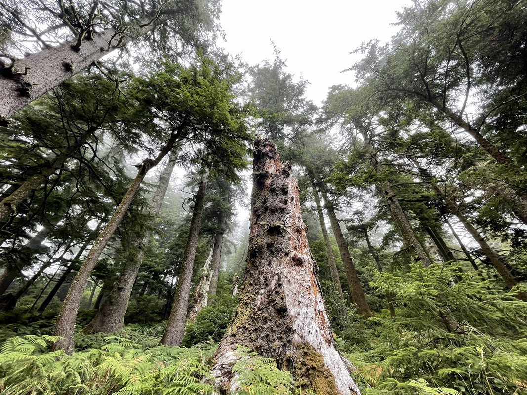 3CF58475-B841-4A2F-885A-A48ADF0BE2B8