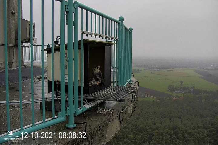 campics vanaf 1 juli © VWGGemert en bonusjes van ter plekke - Pagina 34 M1