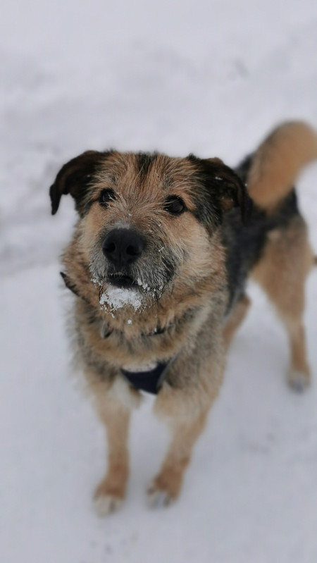 photo 2026 01 29 14 34 04 (3)