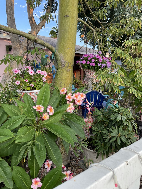 3CA362DB-C846-40D5-9696-EE114DB51855_1_105_c