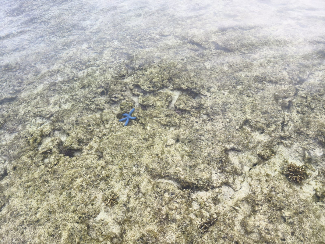 IMG-20250817-WA0028