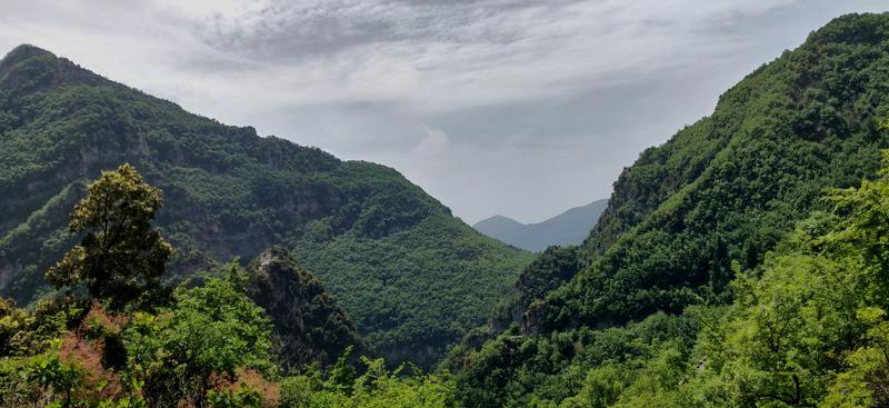 IMG_20190609_122516.jpg.1