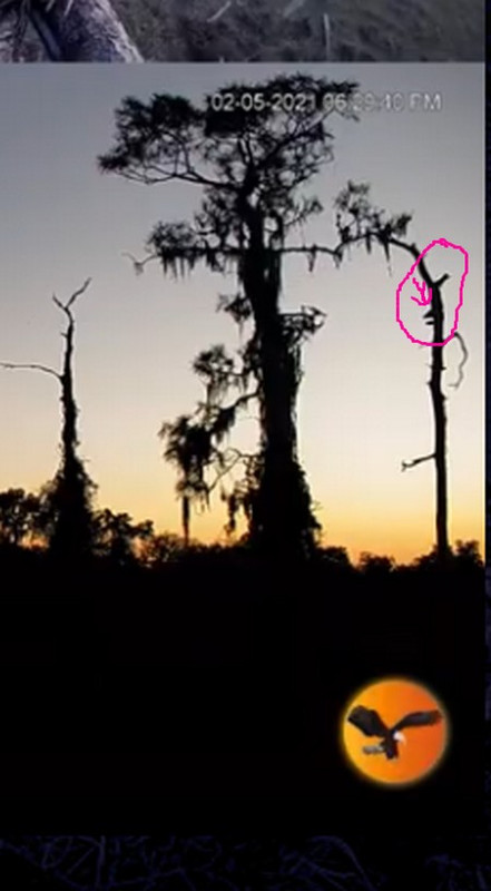 eagle country feb5-11-2021