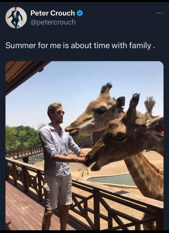 375.jpg
