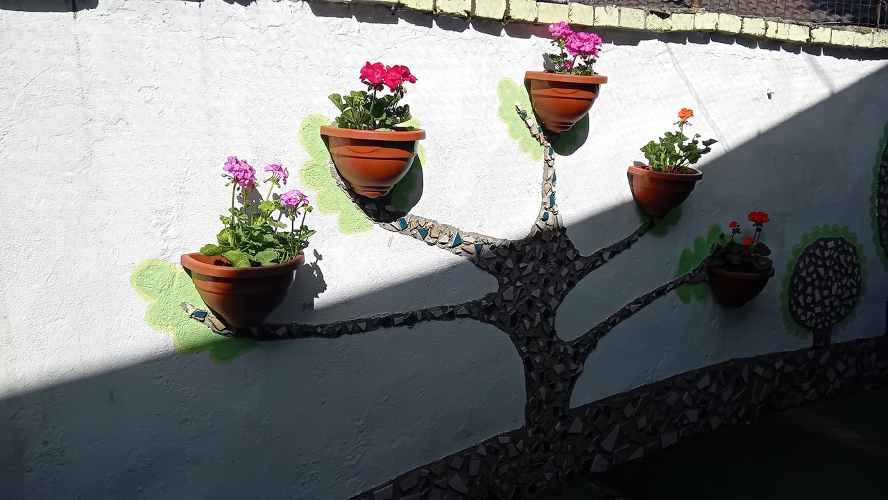 440946700_10228512573616749_842620894313020187_n