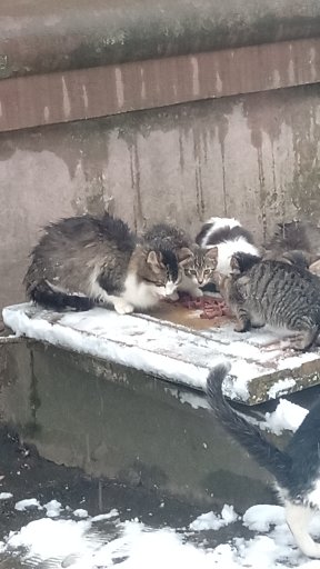 IMG-7d1de197a8916f2a8cfce374a2d90d25-V