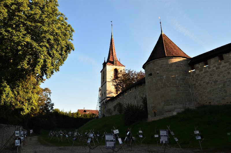 MURTEN-4-9-2019 - Suiza y sus pueblos-2019 (54)