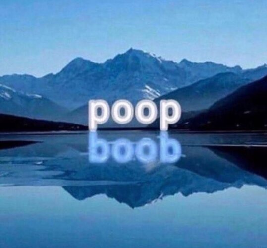 [Image: Poopboob.jpg]