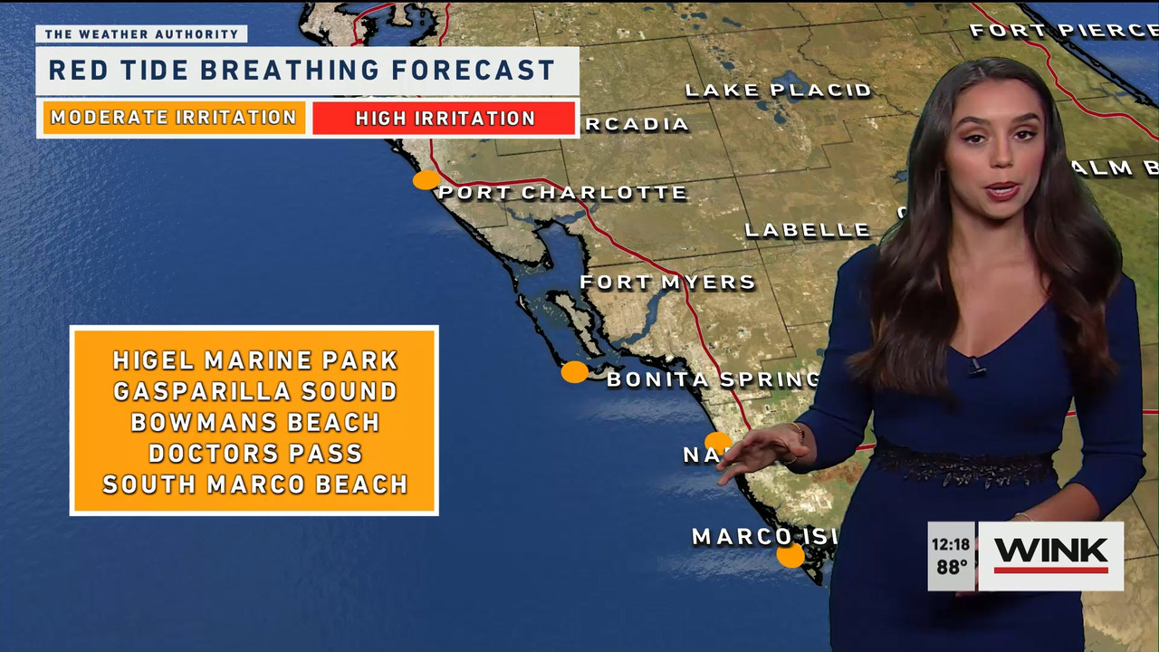 03.06 - 17.00.00 - The WINK Noon News  ᴺᵉʷ. Midday news update..ts_snapshot_24.48.236