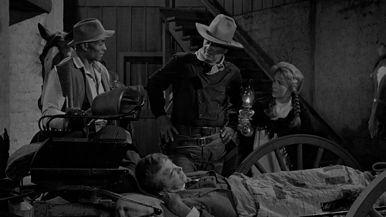 The Man Who Shot Liberty Valance (1962) (1080p BluRay x265 r00t)
