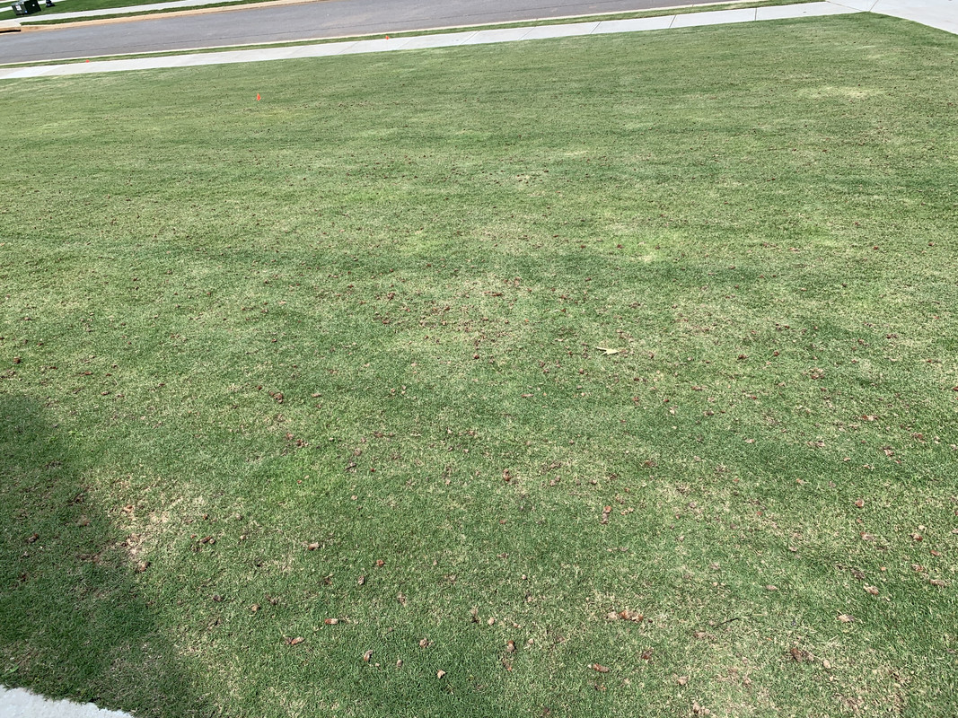 0FC327C4-24F6-4953-92FA-8B4217F6D0C9