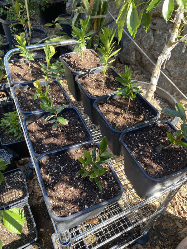 ADE4A376-526A-4BC8-9AEB-095FFF00C18E