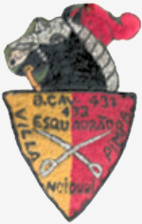 CCav433-1