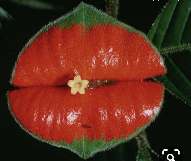 [Image: Screenshot-20200217-113730-Photos.jpg]