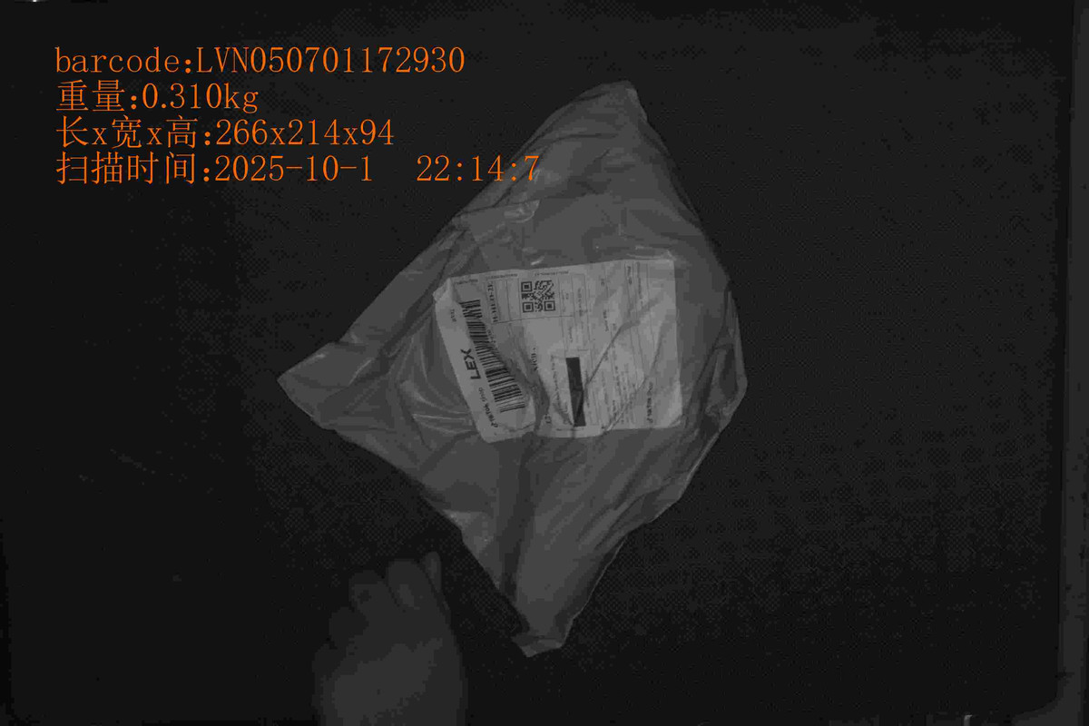 202510122147_LVN050701172930_0.310_266_214_94