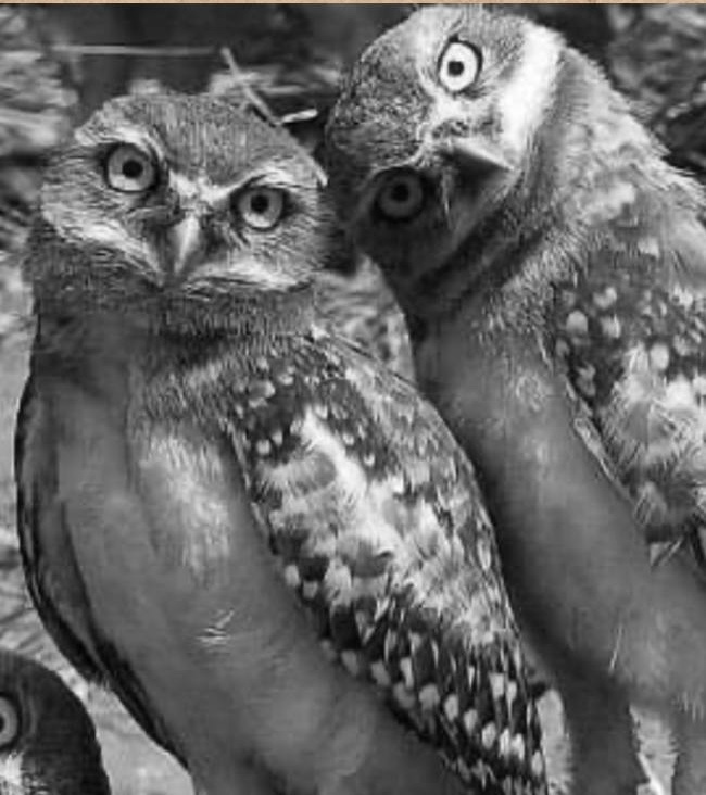 359808D7-9B51-41B6-B003-2123F4D29DE9