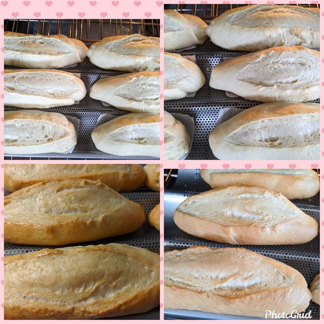 [Image: Photo-Grid-1593635817649.jpg]