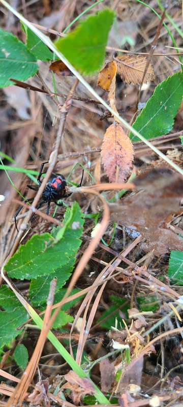 062A6938-E9EE-476A-97A4-184993AB7A70