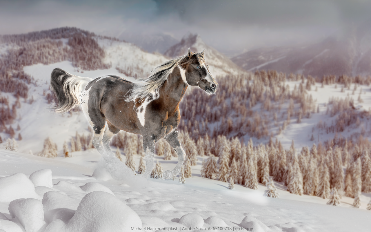 Untitled222_20250116014224