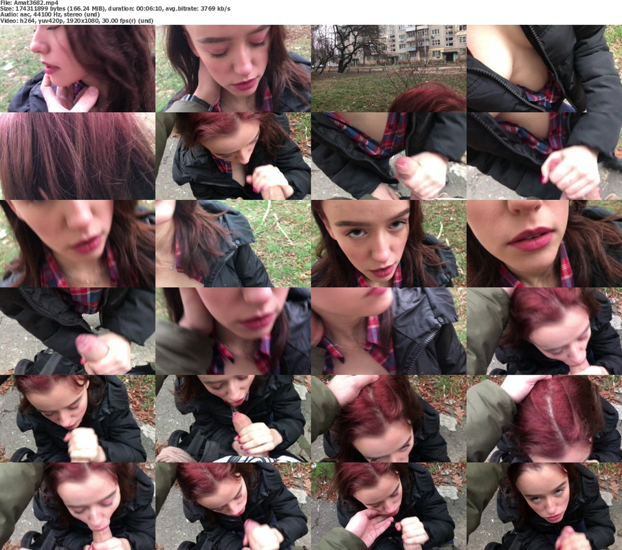 22082024115755screenshot