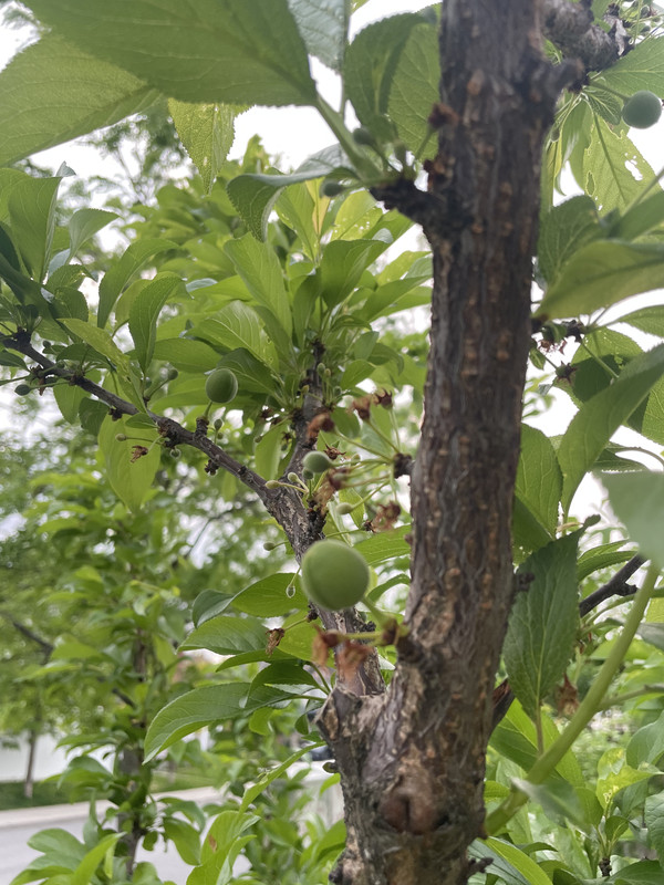 E5874984-86EF-4508-965C-98407CD26AEC