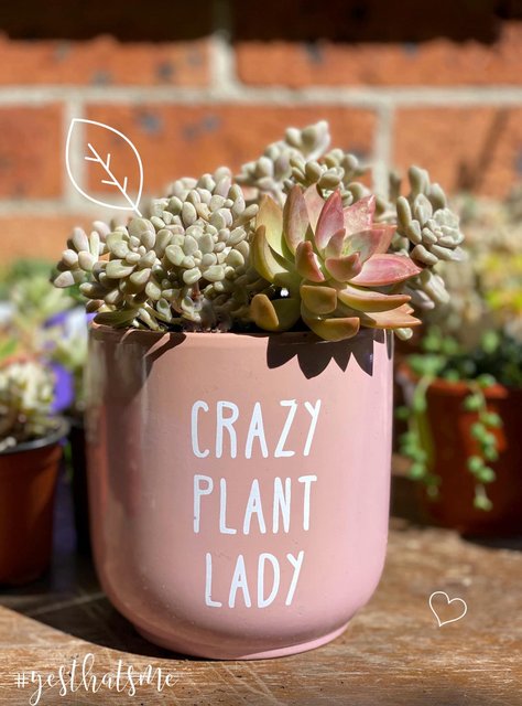 [Image: C9675783-2938-4-B5-F-91-A0-1-C85-F914-BBE0.jpg]