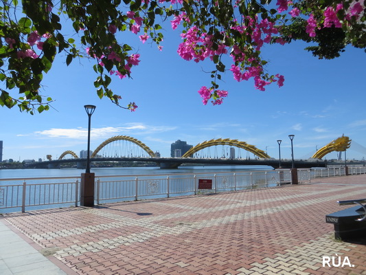 [Image: IMG-6302.jpg]