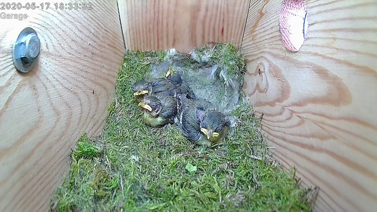 5A977D83-34B2-44C4-A3AD-F28A93022D50