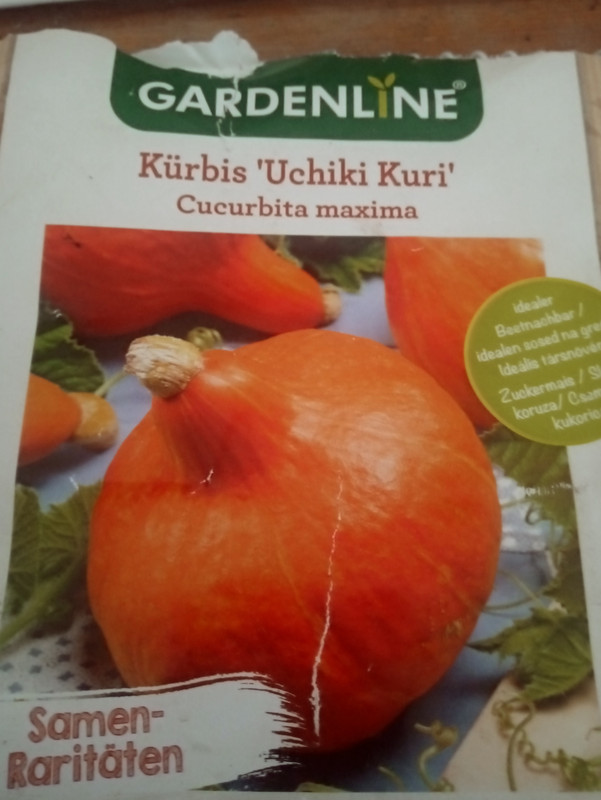 Kép