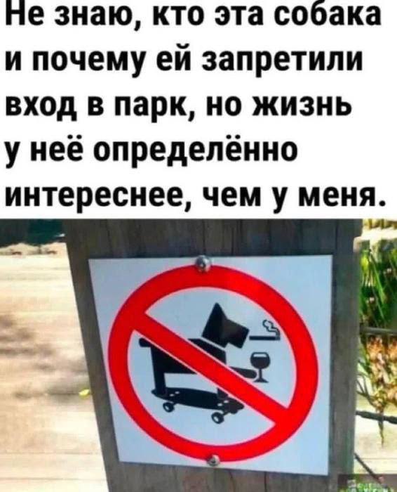[Изображение: e22a89a2ed62cc93bbcc9843542daad9.jpg]