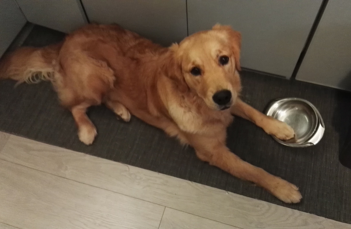 IMG_20181022_192814_505