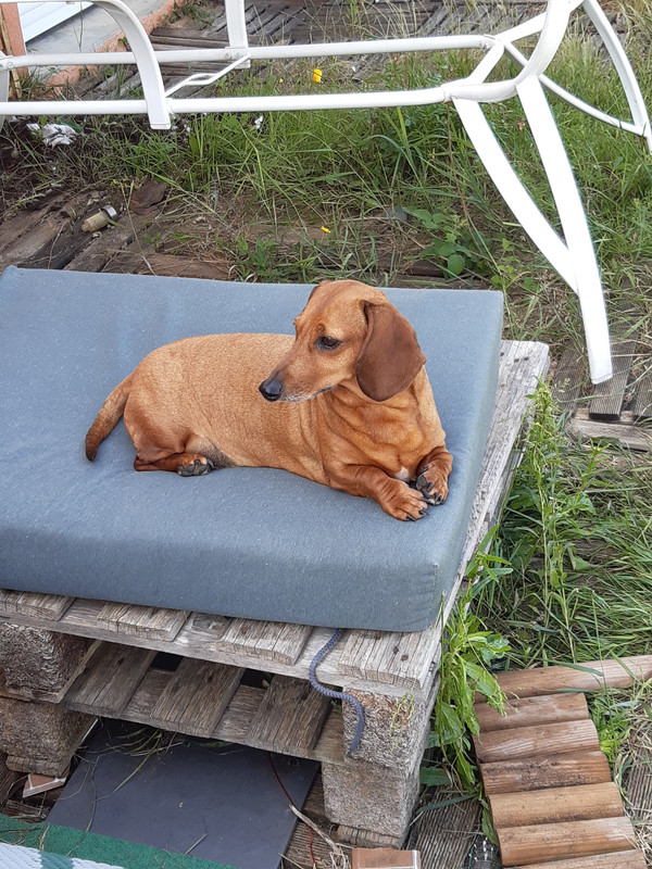 [Image: 20230529-170125.jpg]