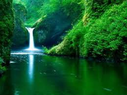 rainforest waterfall