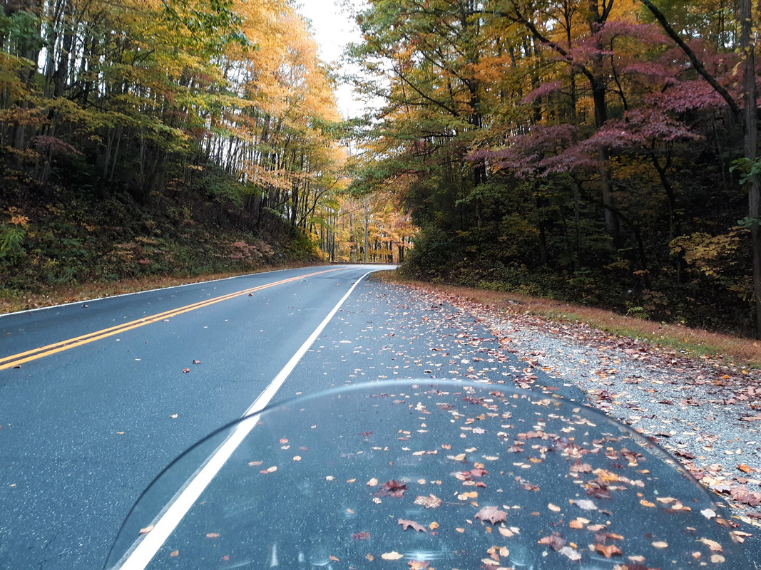 20191026_114306.ENH.1920P