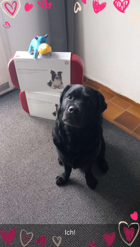 Screenshot 20260213 191732 Whats App