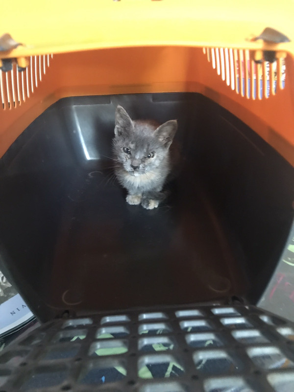 01F13BEF-926F-4DDB-BFEF-B05348622ED2