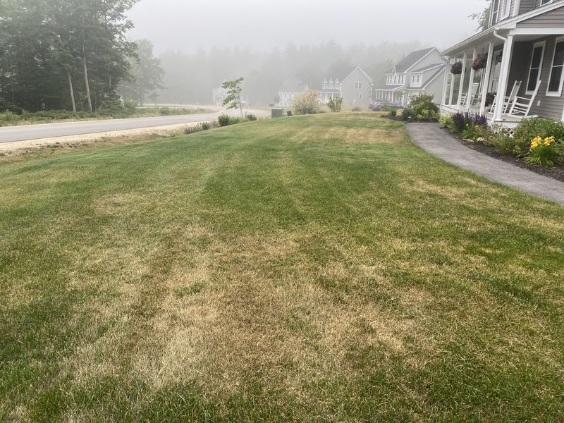 F20C829F-A70A-4AE1-94A3-7E09324A7FE7