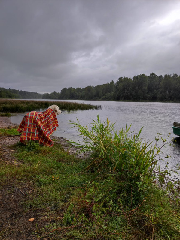 A6BF47B8-548B-4233-B4D9-521C8EAB5D9F