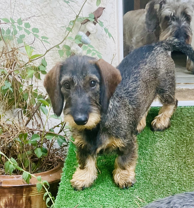 [Image: IMG-3449.jpg]